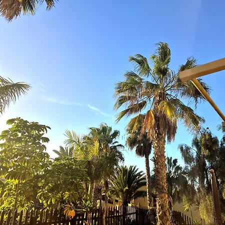 Oasis Daire Corralejo