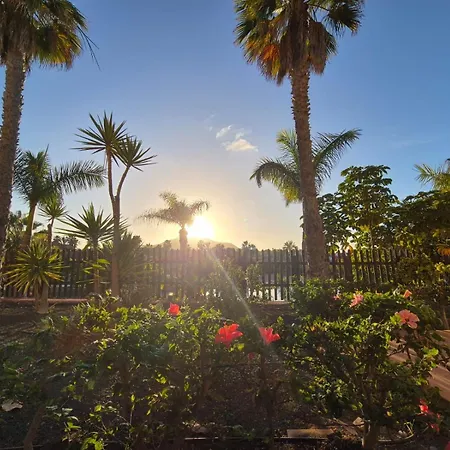 Διαμέρισμα Oasis *