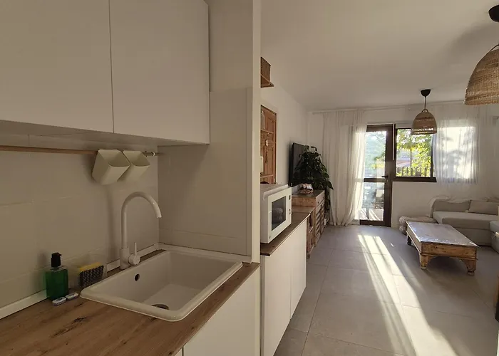 Oasis Κοραλέχο