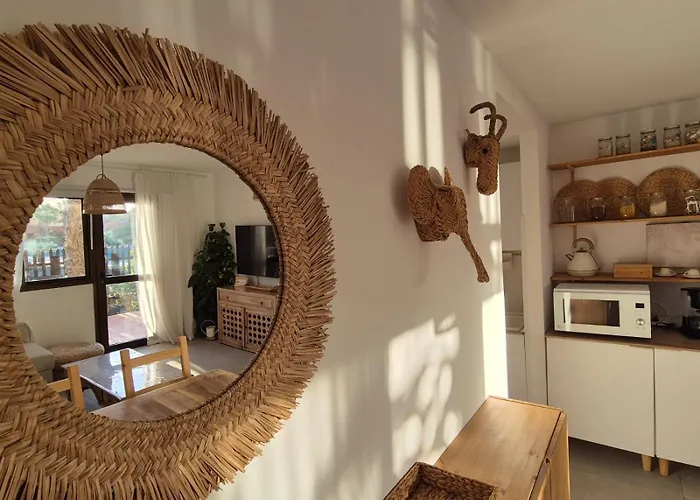 Oasis Κοραλέχο