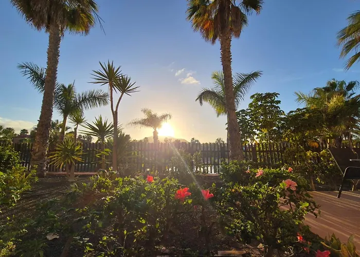 Διαμέρισμα Oasis *