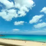 Oasis *