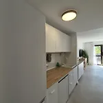Oasis Corralejo