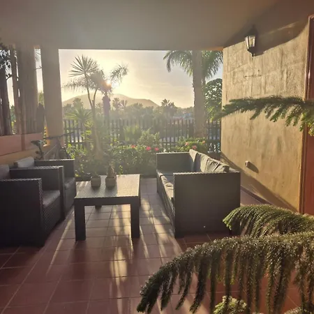 Oasis