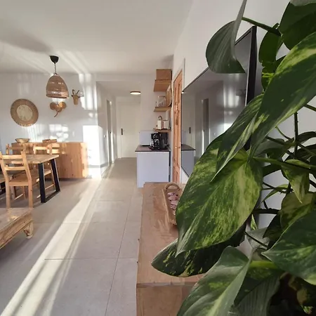 Oasis * 코라레호