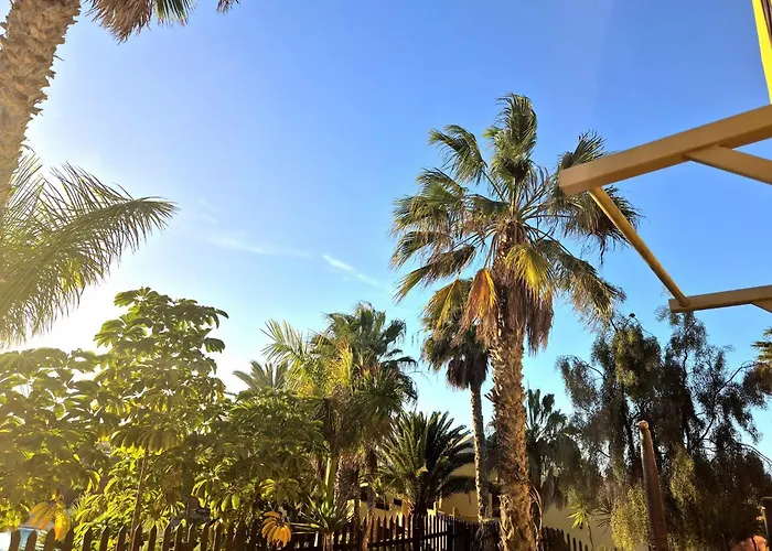 Oasis Apartment Corralejo